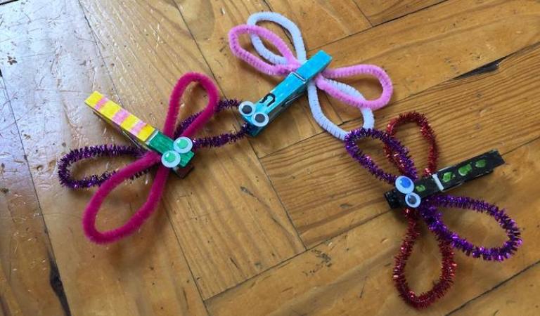 libelulas-pinzas-3